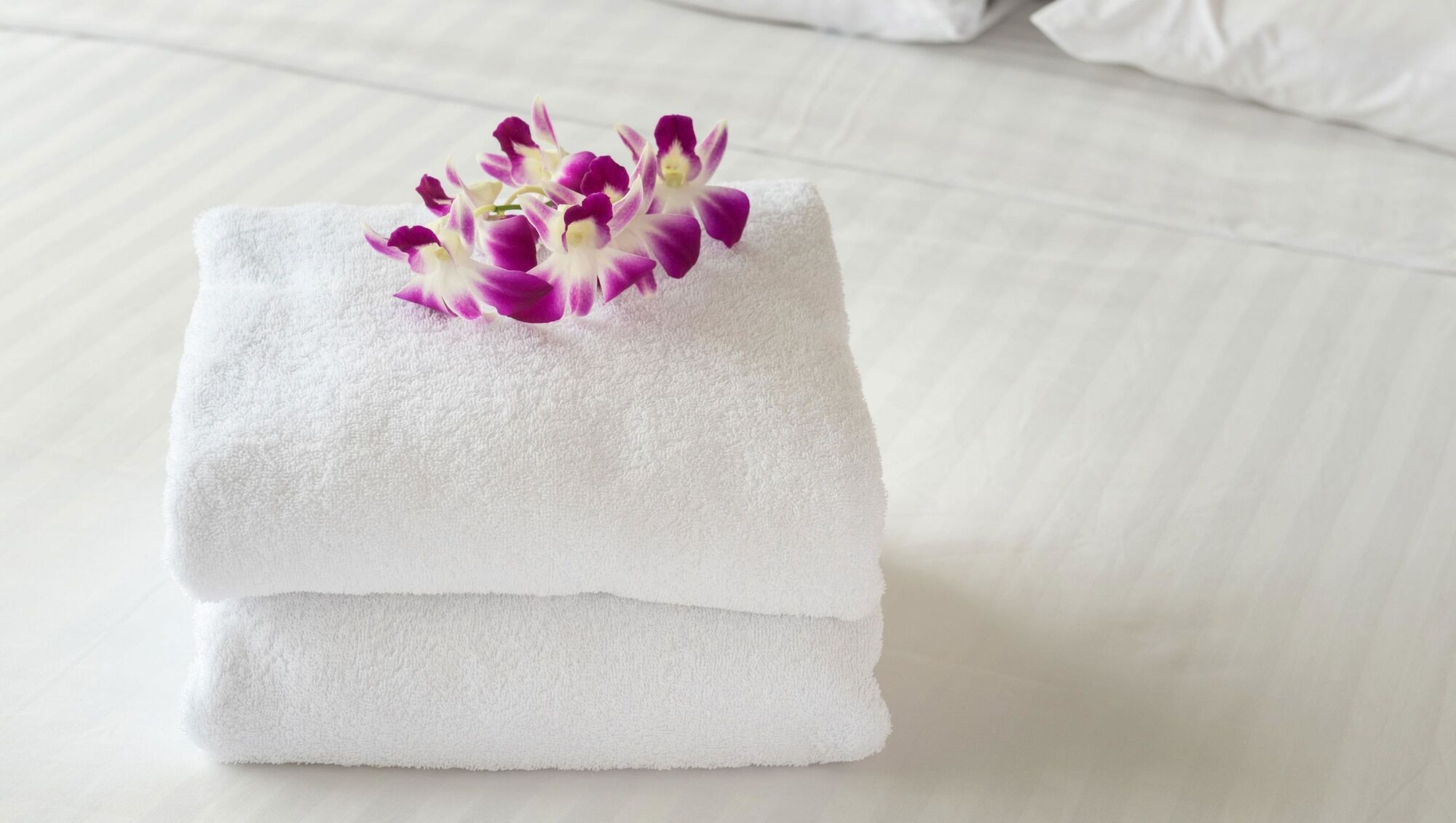 Super 6 Inn & Suites Baton Rouge Bagian luar foto